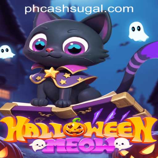 HalloweenMeow: An Exciting Adventure Into the Halloween Spirit